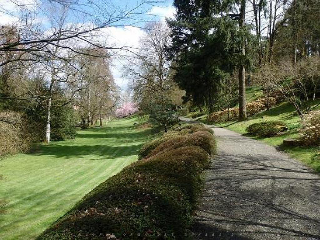 149 PARC ORIENTAL DE MAULEVIER MAINE ET LOIRE 2016 N0_000040.jpg
